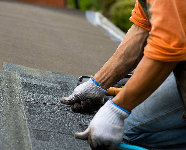 Roof Gutter Cleaning in West Des Moines, IA